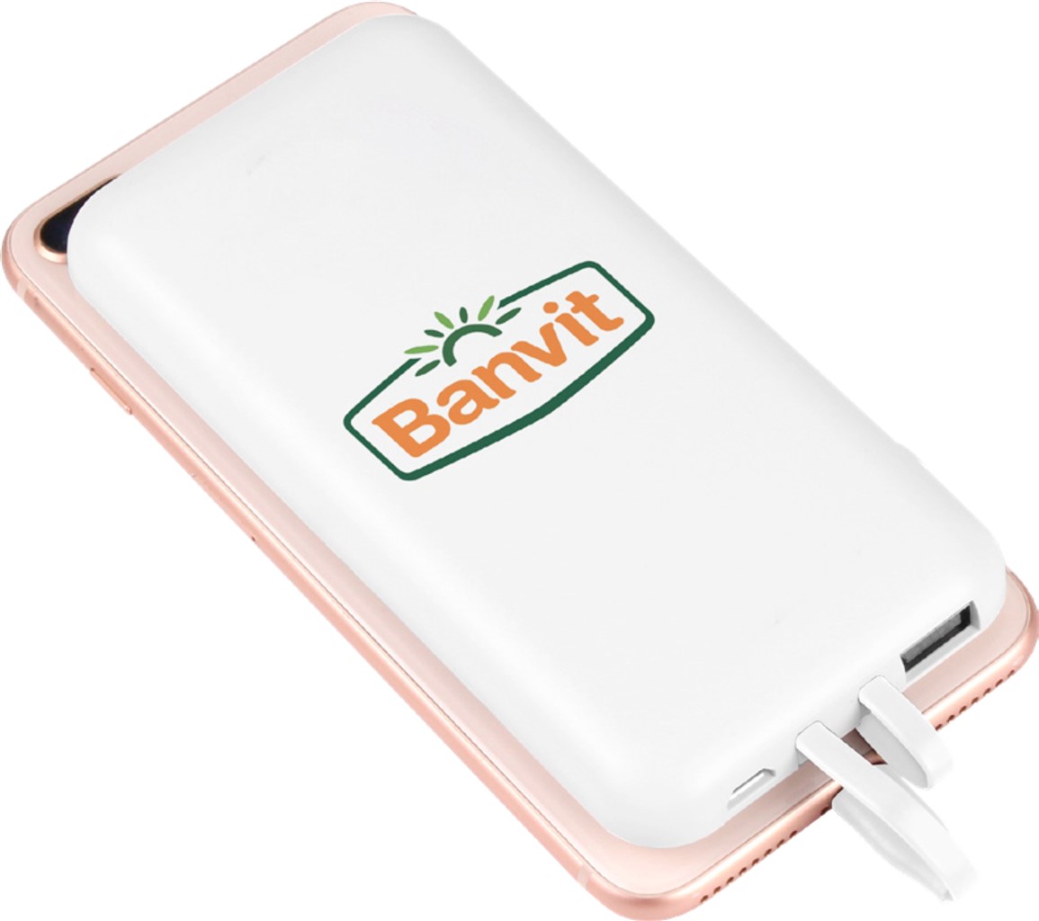 Pwb-180 10.000 Mah Powerbank